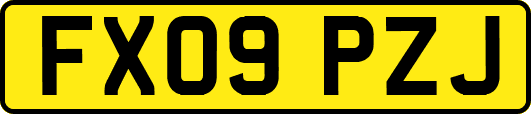 FX09PZJ