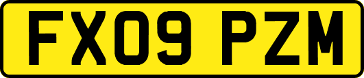 FX09PZM