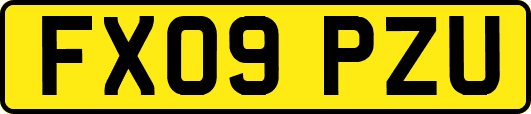 FX09PZU