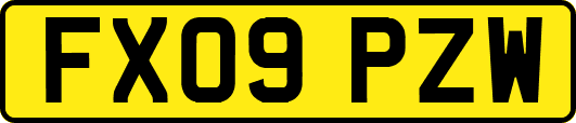 FX09PZW