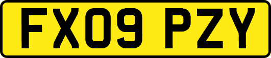 FX09PZY