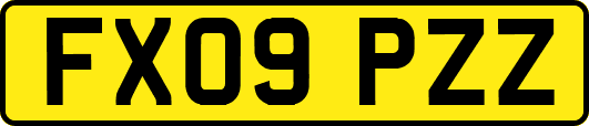 FX09PZZ