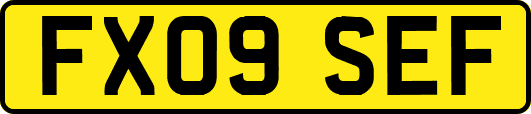 FX09SEF