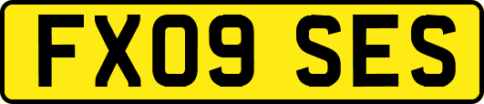 FX09SES