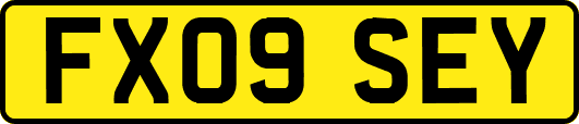 FX09SEY