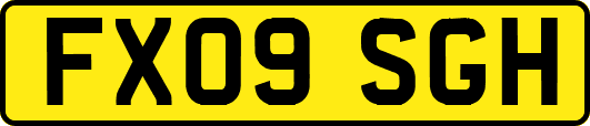 FX09SGH
