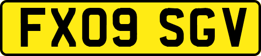 FX09SGV
