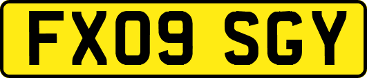 FX09SGY