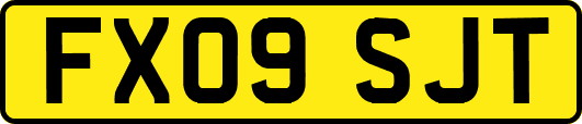 FX09SJT