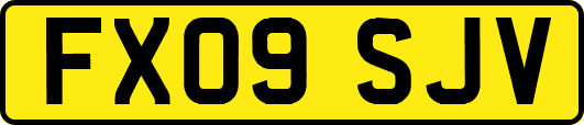 FX09SJV