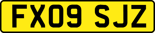 FX09SJZ