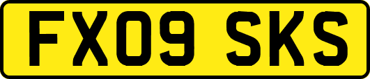 FX09SKS