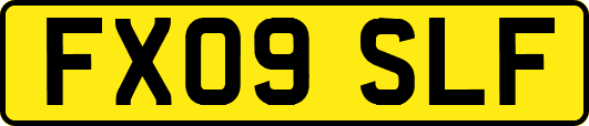 FX09SLF