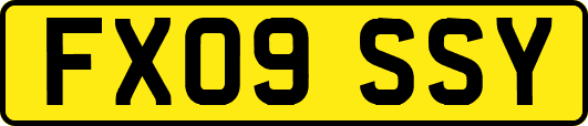 FX09SSY