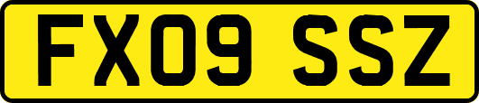 FX09SSZ