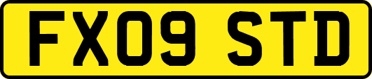 FX09STD