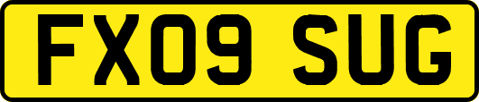 FX09SUG