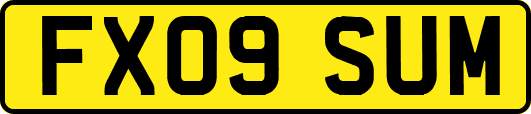 FX09SUM