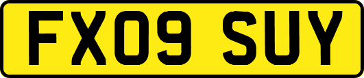 FX09SUY