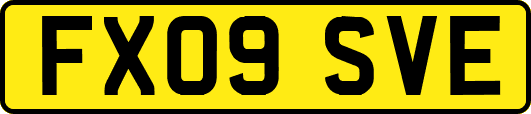 FX09SVE