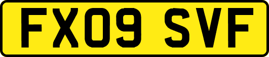 FX09SVF