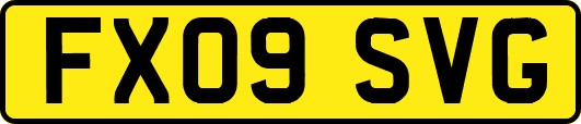 FX09SVG