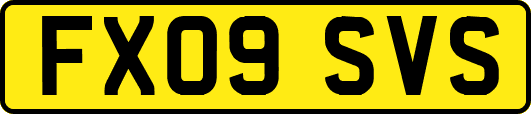 FX09SVS