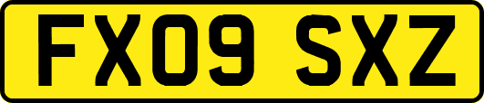FX09SXZ