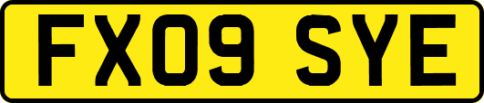 FX09SYE