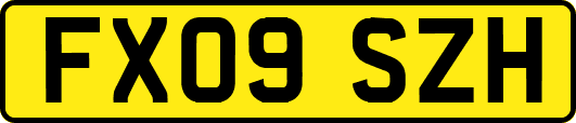 FX09SZH