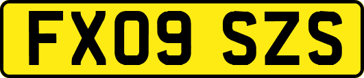 FX09SZS