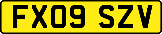 FX09SZV