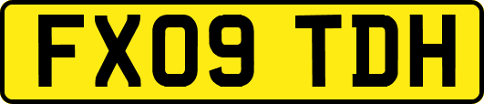 FX09TDH