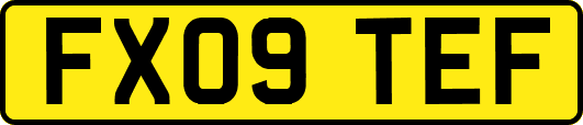 FX09TEF