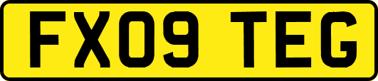 FX09TEG