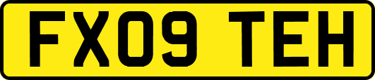 FX09TEH