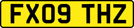 FX09THZ