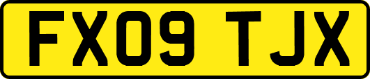 FX09TJX