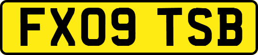 FX09TSB