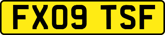 FX09TSF