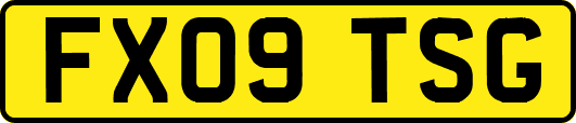 FX09TSG