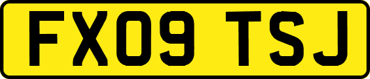 FX09TSJ