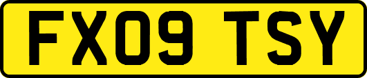 FX09TSY