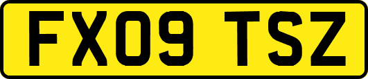 FX09TSZ