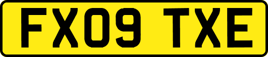 FX09TXE