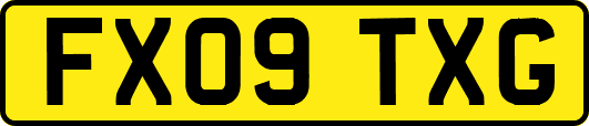 FX09TXG