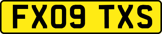 FX09TXS