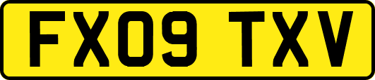 FX09TXV