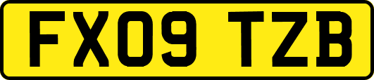 FX09TZB