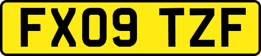 FX09TZF